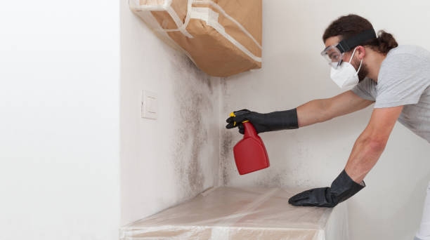 Professional Mold Removal technician working in East Norwich, NY